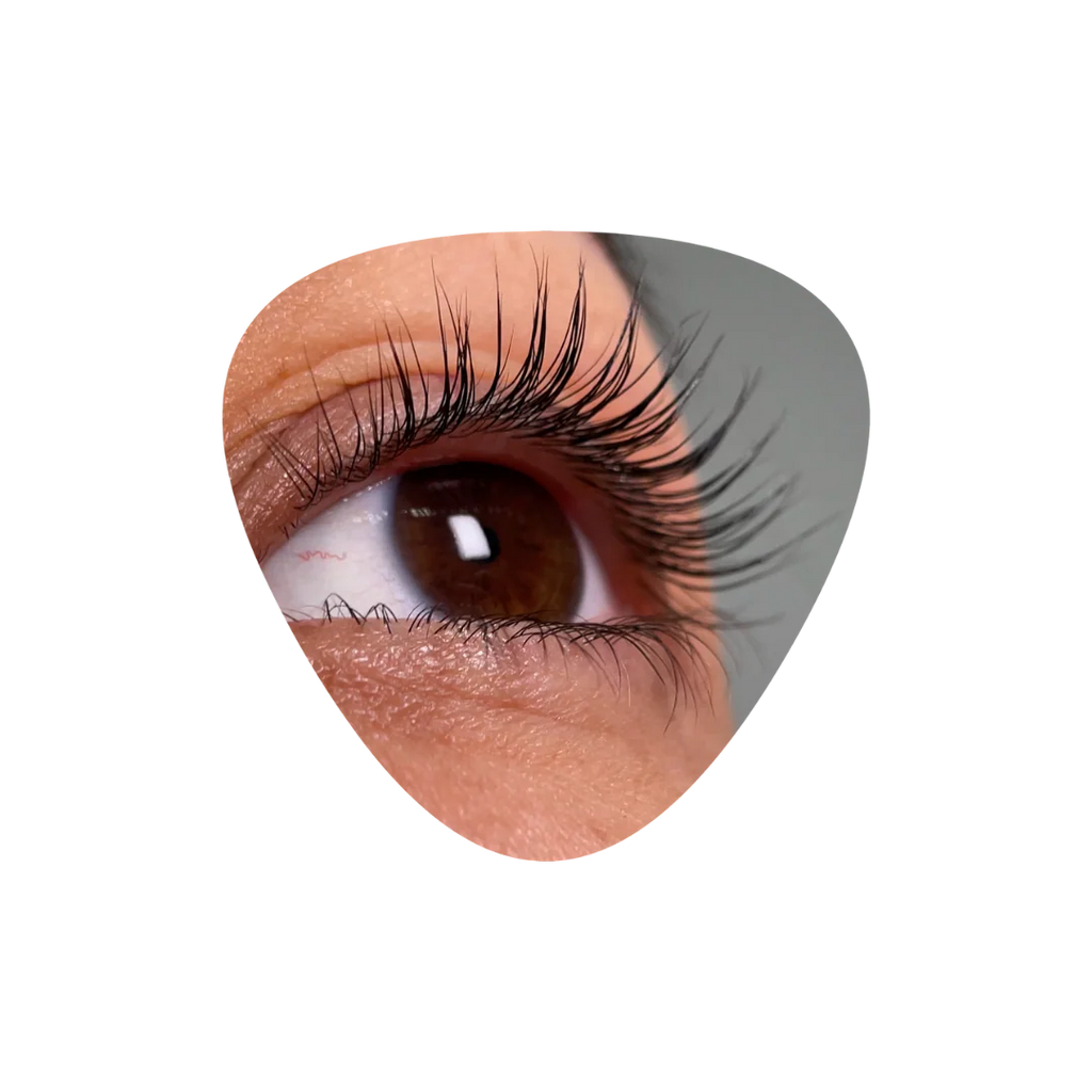 InLei® - FORMA + FORMA UP