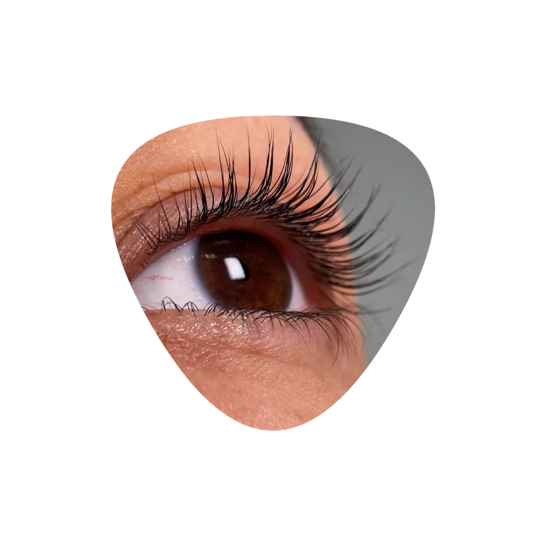 InLei® - FORMA + FORMA UP